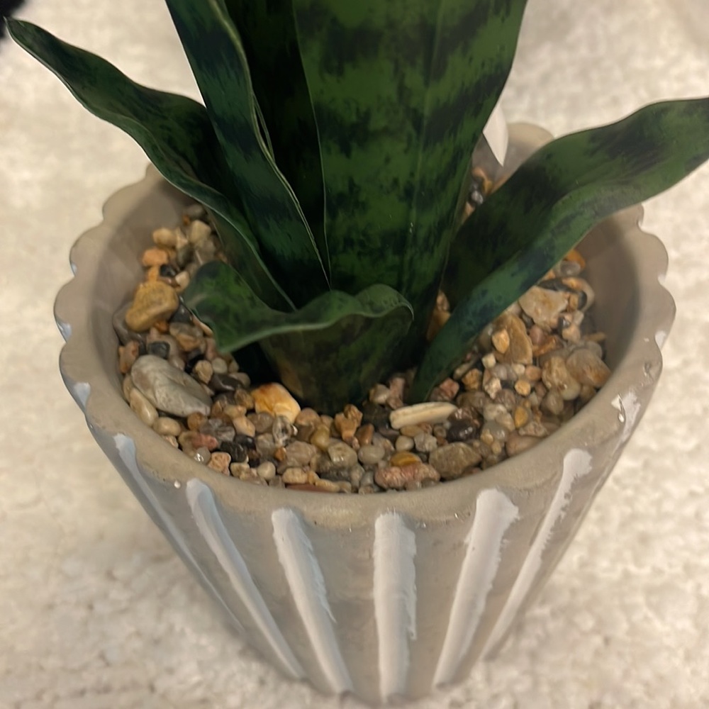 NWT Always Perfect Decor Artificial Snake Plant in Gray and White Pot